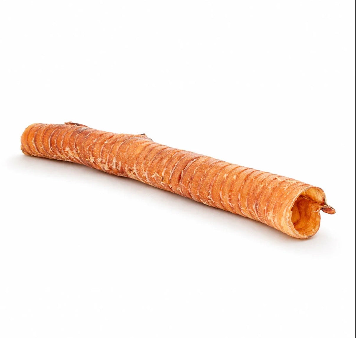 Trachea di bovino
