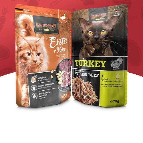 Umido/Secco Gatto