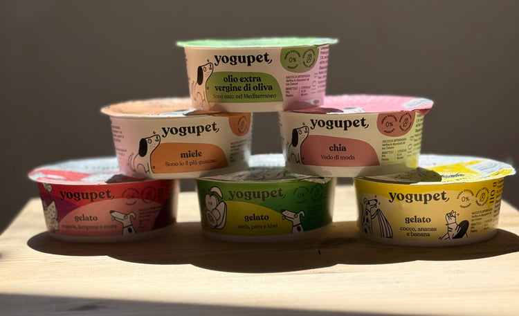 Yogurt Gelato