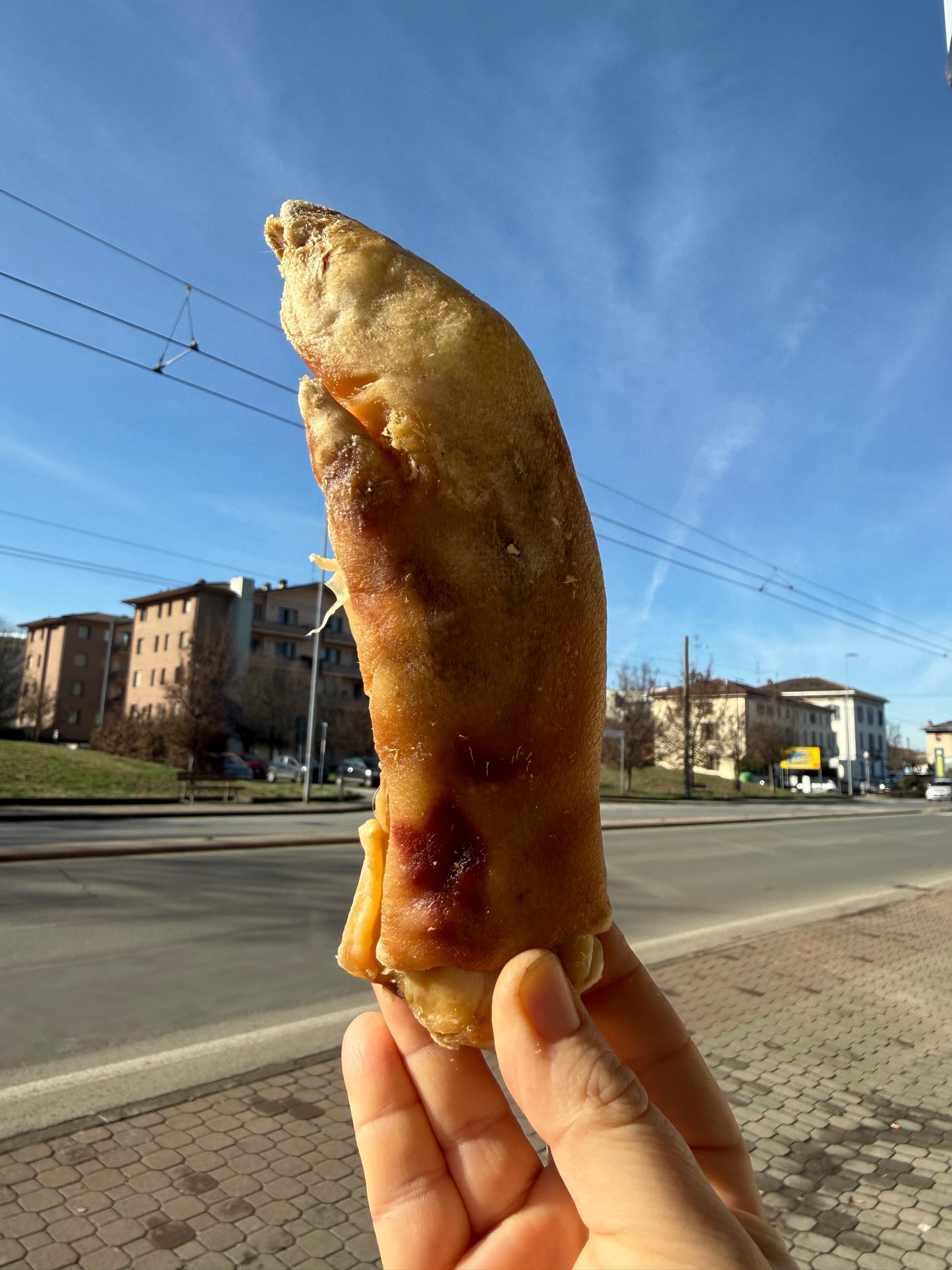 Zampetto di Maiale
