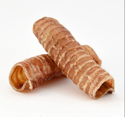 Trachea di bovino